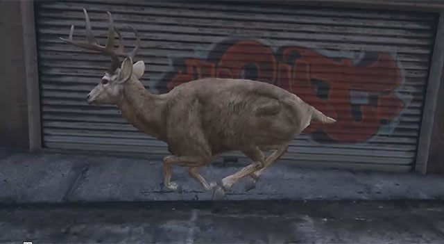 Brent Watanabe, "San Andreas Streaming Deer Cam"