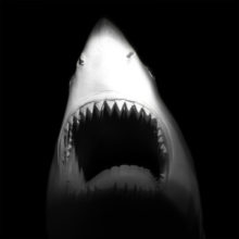 Catherine Marcogliese