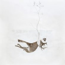 Josh Winegar