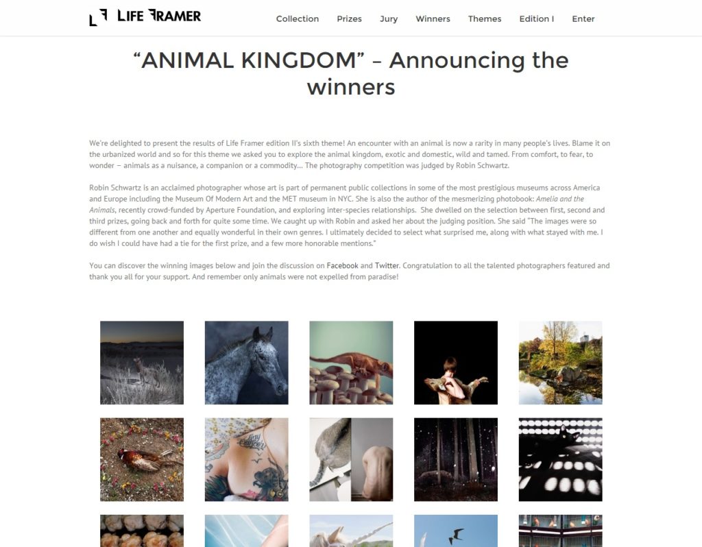 Life Framer Photography Competition: “Animal Kingdom”