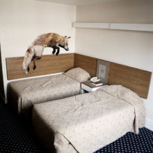 Mikel Uribetxeberria