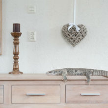 Olivier van Hartingsveldt