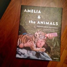 Robin Schwartz’s “Amelia & The Animals”